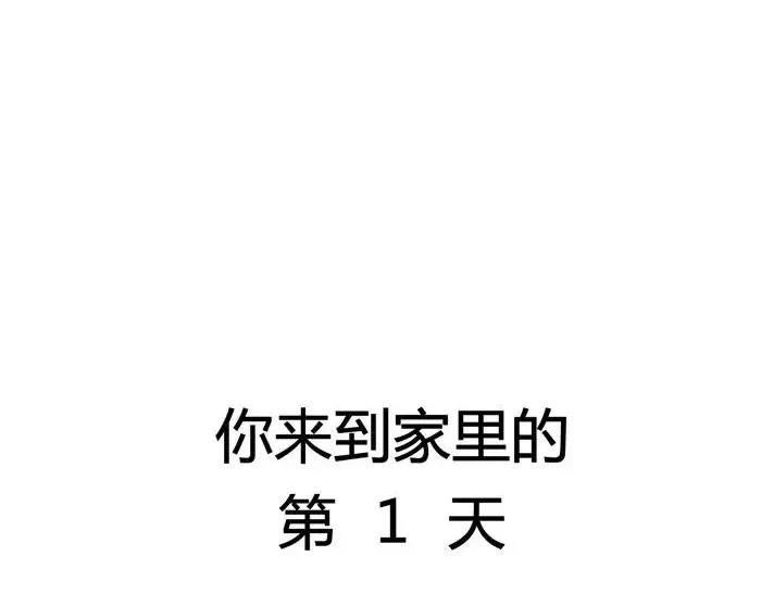 🍱素菜包 丧哥系列 | 养猫第一天 第11页