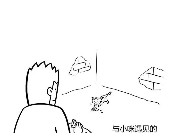 🍱素菜包 丧哥系列 | 养猫第一天 第2页