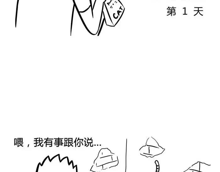 🍱素菜包 丧哥系列 | 养猫第一天 第3页