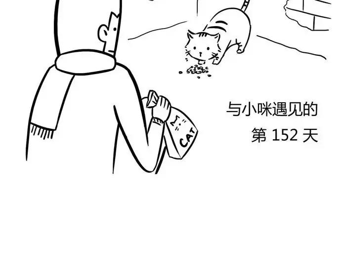 🍱素菜包 丧哥系列 | 养猫第一天 第4页