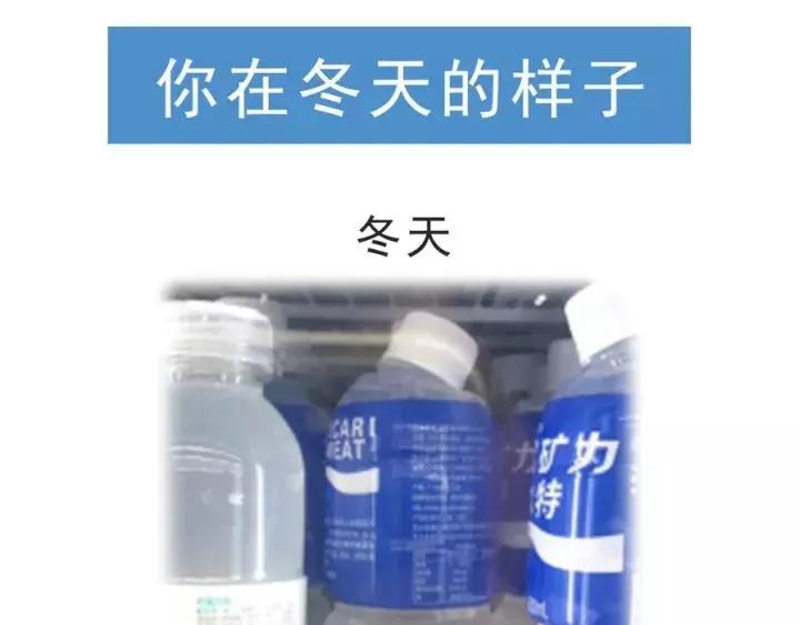 🍱素菜包 在冬天，仙女是这个样子的 第1页