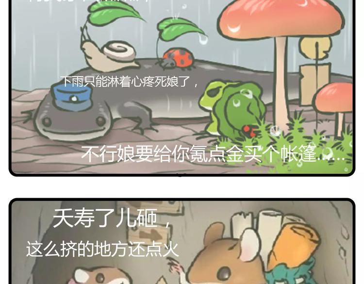 🍱素菜包 天青色等烟雨，而我在等蛙 第15页