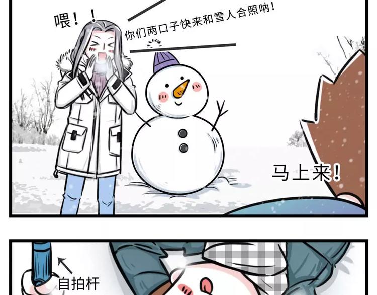 🍱素菜包 当南方的二愣子们终于见着了雪… 第5页