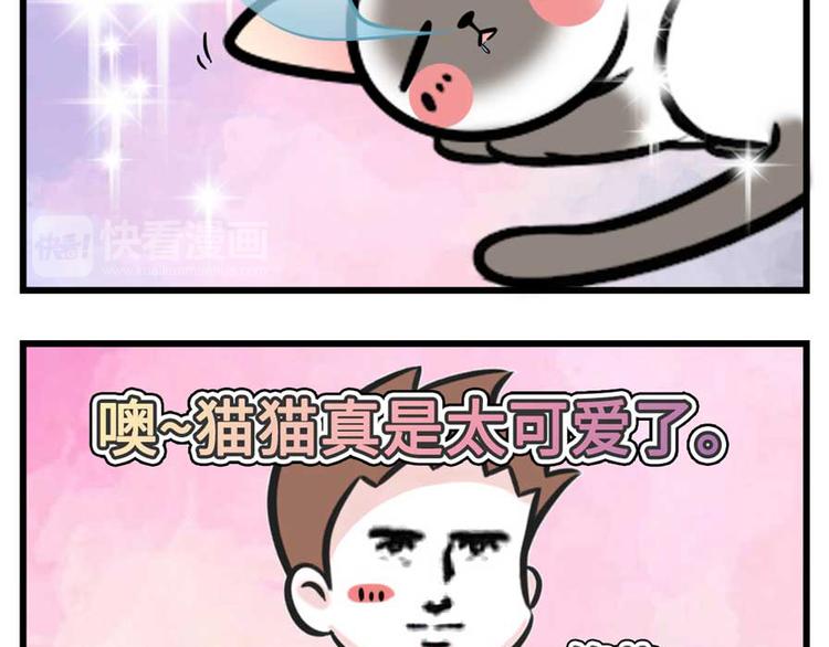 🍱素菜包 我们猫奴就是这样的！ 第11页
