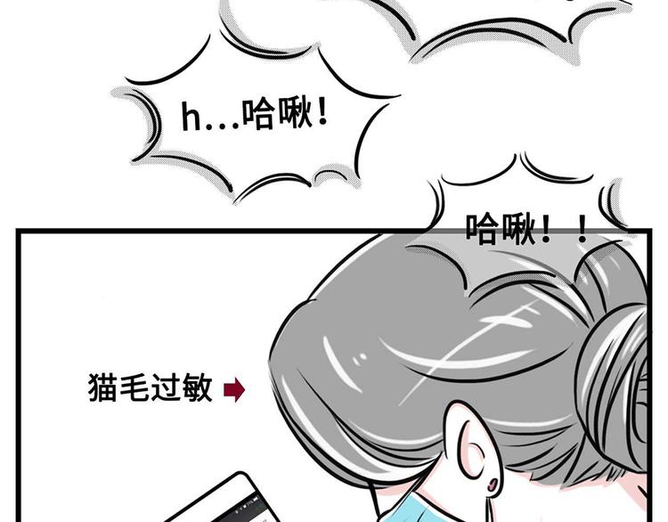 🍱素菜包 我们猫奴就是这样的！ 第17页