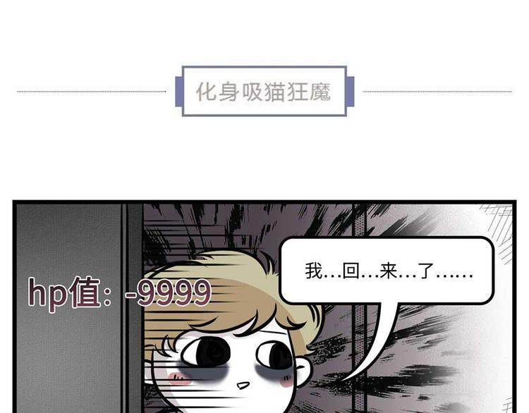 🍱素菜包 我们猫奴就是这样的！ 第20页