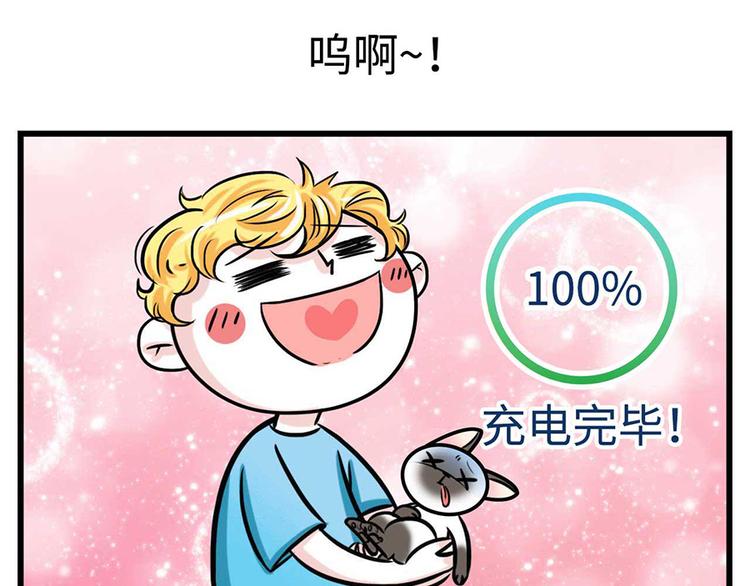 🍱素菜包 我们猫奴就是这样的！ 第24页