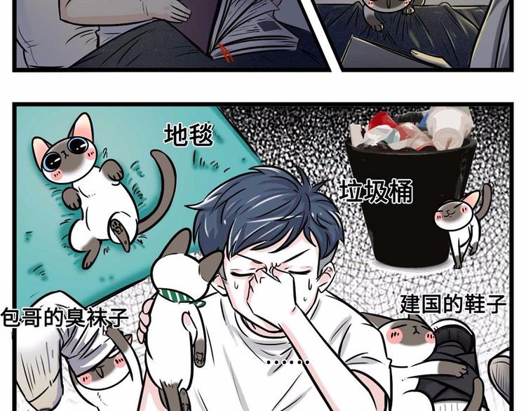 🍱素菜包 我们猫奴就是这样的！ 第28页