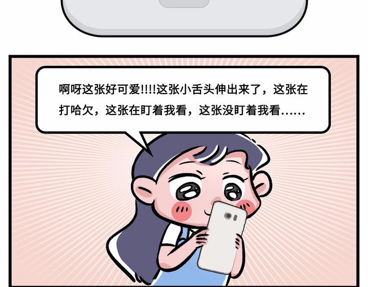 🍱素菜包 我们猫奴就是这样的！ 第4页