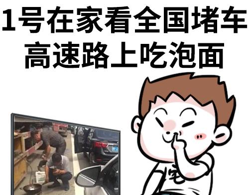 🍱素菜包 别动！国庆只能做一件事…… 第1页