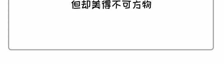 🍱素菜包 社畜的年度账单已出炉~~ 第6页