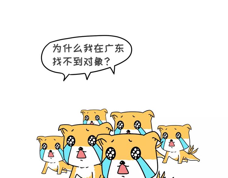 🍱素菜包 为什么你在广州没有男朋友 第2页