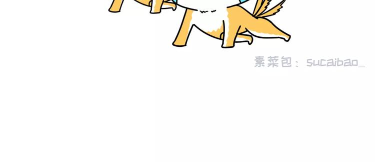 🍱素菜包 为什么你在广州没有男朋友 第3页