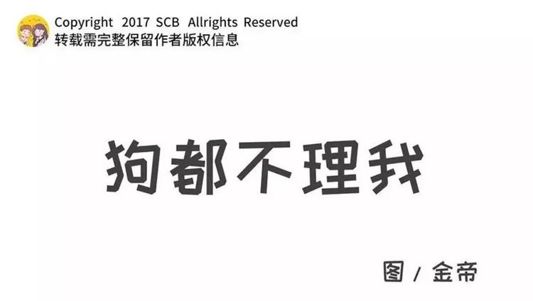 🍱素菜包 狗狗发现少女惊人的秘密 第1页