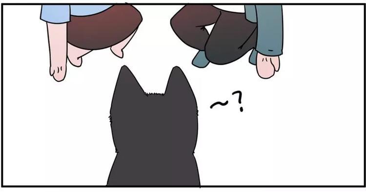 🍱素菜包 狗狗发现少女惊人的秘密 第12页