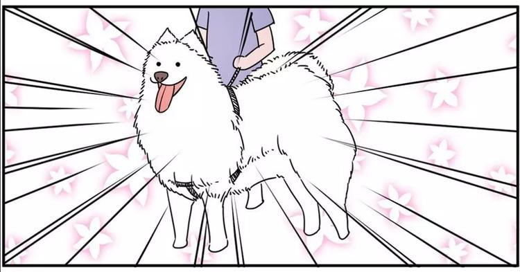 🍱素菜包 狗狗发现少女惊人的秘密 第16页