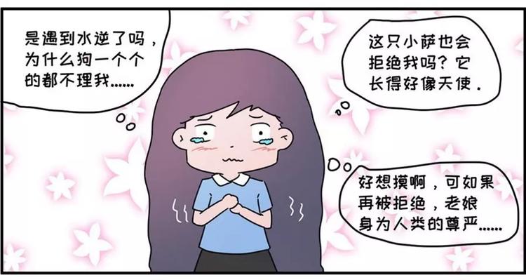 🍱素菜包 狗狗发现少女惊人的秘密 第17页