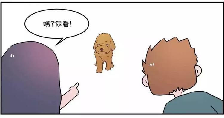🍱素菜包 狗狗发现少女惊人的秘密 第2页
