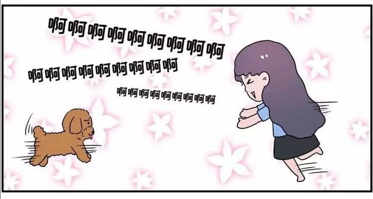 🍱素菜包 狗狗发现少女惊人的秘密 第4页