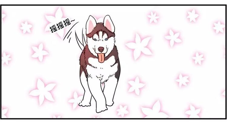 🍱素菜包 狗狗发现少女惊人的秘密 第8页