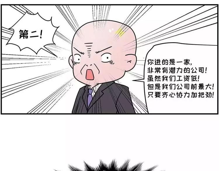 🍱素菜包 现在的面试都这么奇葩？ 第27页