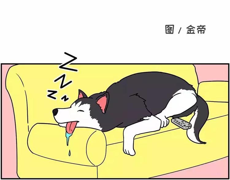 🍱素菜包 自己养的宝贝，哭着也要宠完 第1页