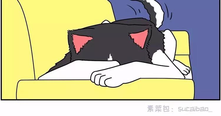 🍱素菜包 自己养的宝贝，哭着也要宠完 第10页