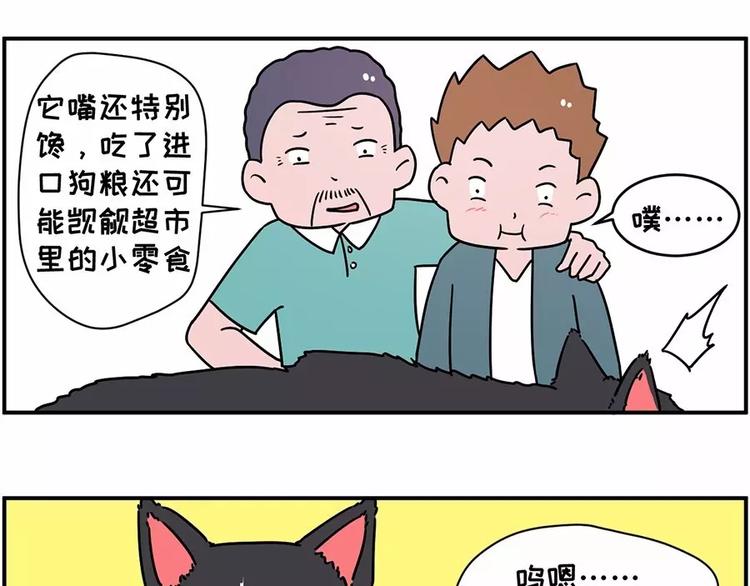 🍱素菜包 自己养的宝贝，哭着也要宠完 第11页