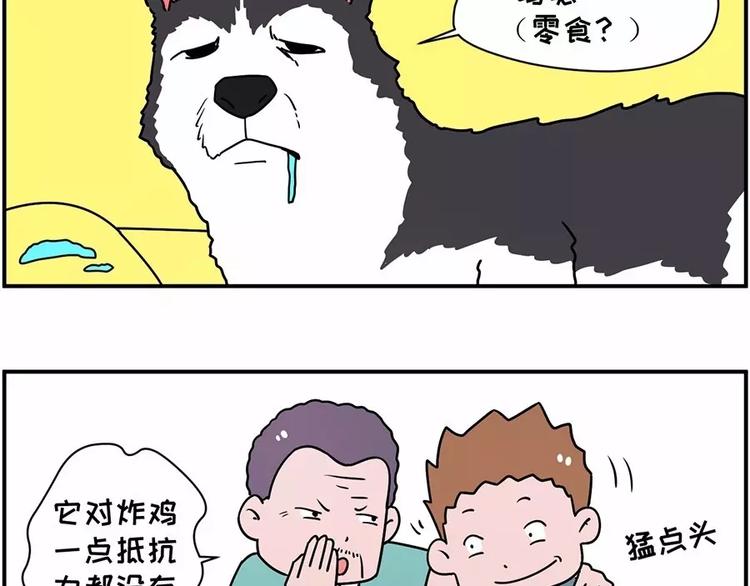 🍱素菜包 自己养的宝贝，哭着也要宠完 第12页