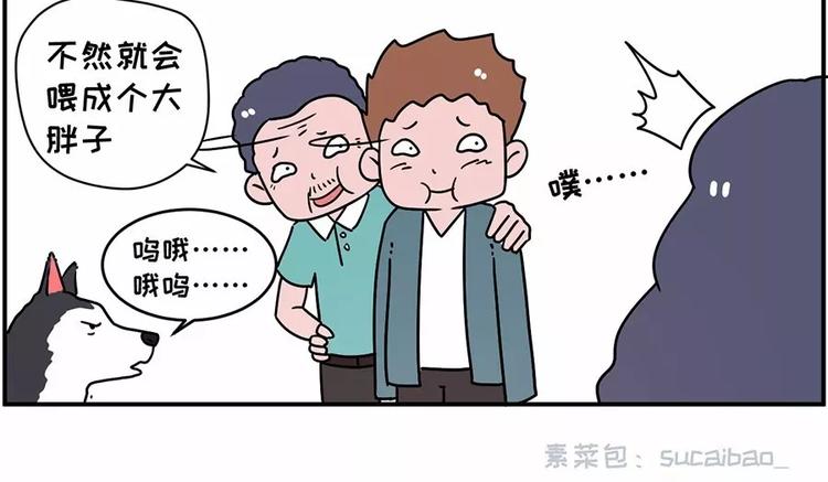 🍱素菜包 自己养的宝贝，哭着也要宠完 第15页