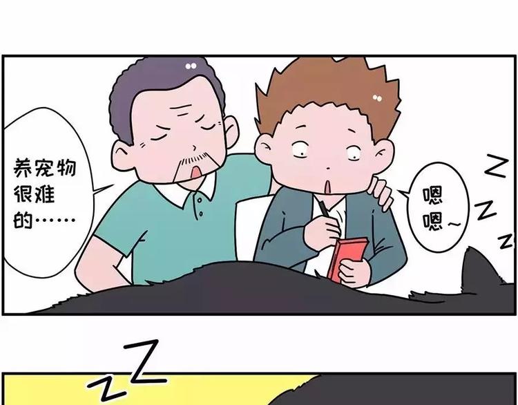 🍱素菜包 自己养的宝贝，哭着也要宠完 第2页