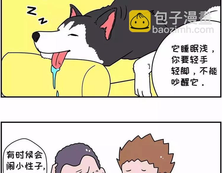 🍱素菜包 自己养的宝贝，哭着也要宠完 第3页
