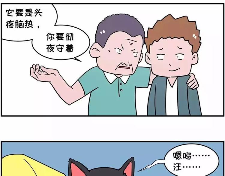 🍱素菜包 自己养的宝贝，哭着也要宠完 第6页