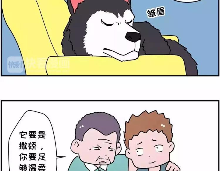 🍱素菜包 自己养的宝贝，哭着也要宠完 第7页