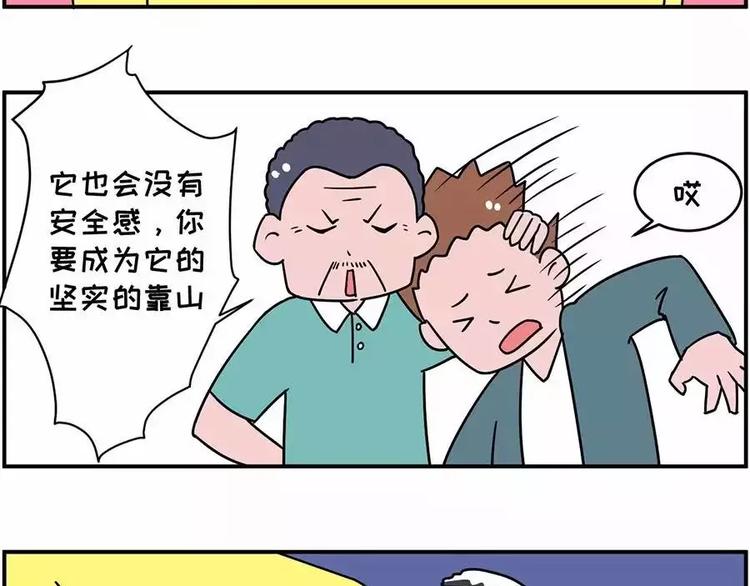 🍱素菜包 自己养的宝贝，哭着也要宠完 第9页