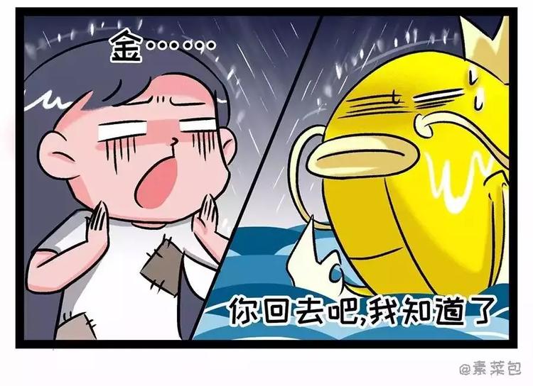 🍱素菜包 金姨与鱼与鱼与鱼与鱼与鱼 第13页