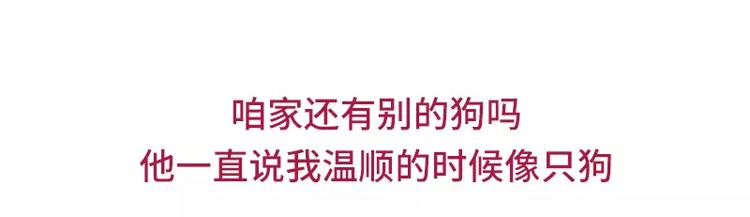 🍱素菜包 男朋友很贱是种怎样的体验 第13页