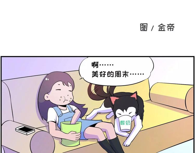 🍱素菜包 长夜漫漫，献给加班 第1页