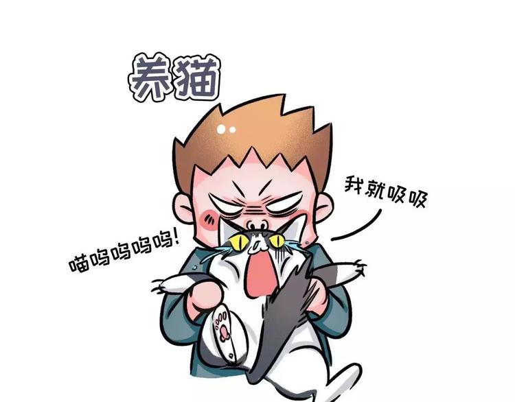 🍱素菜包 想知道养什么宠物最好吗!! 第1页
