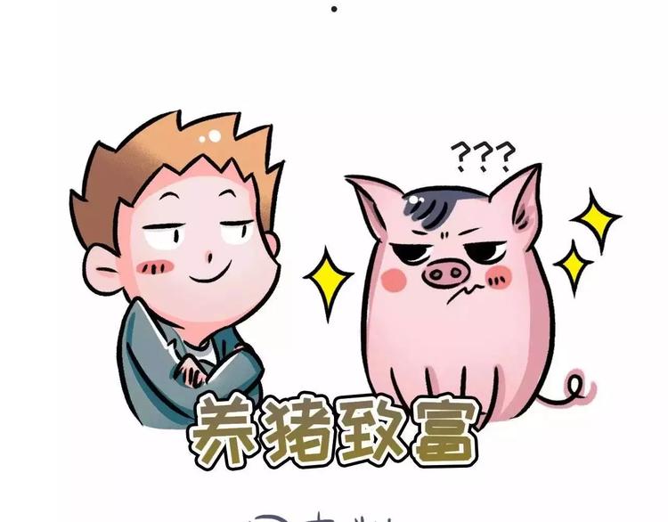 🍱素菜包 想知道养什么宠物最好吗!! 第4页