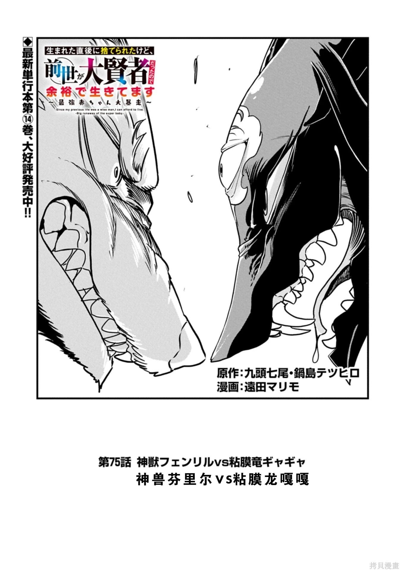 虽然刚出生就被抛弃了，可毕竟前世是大贤者，就淡定地活下去吧 第75话