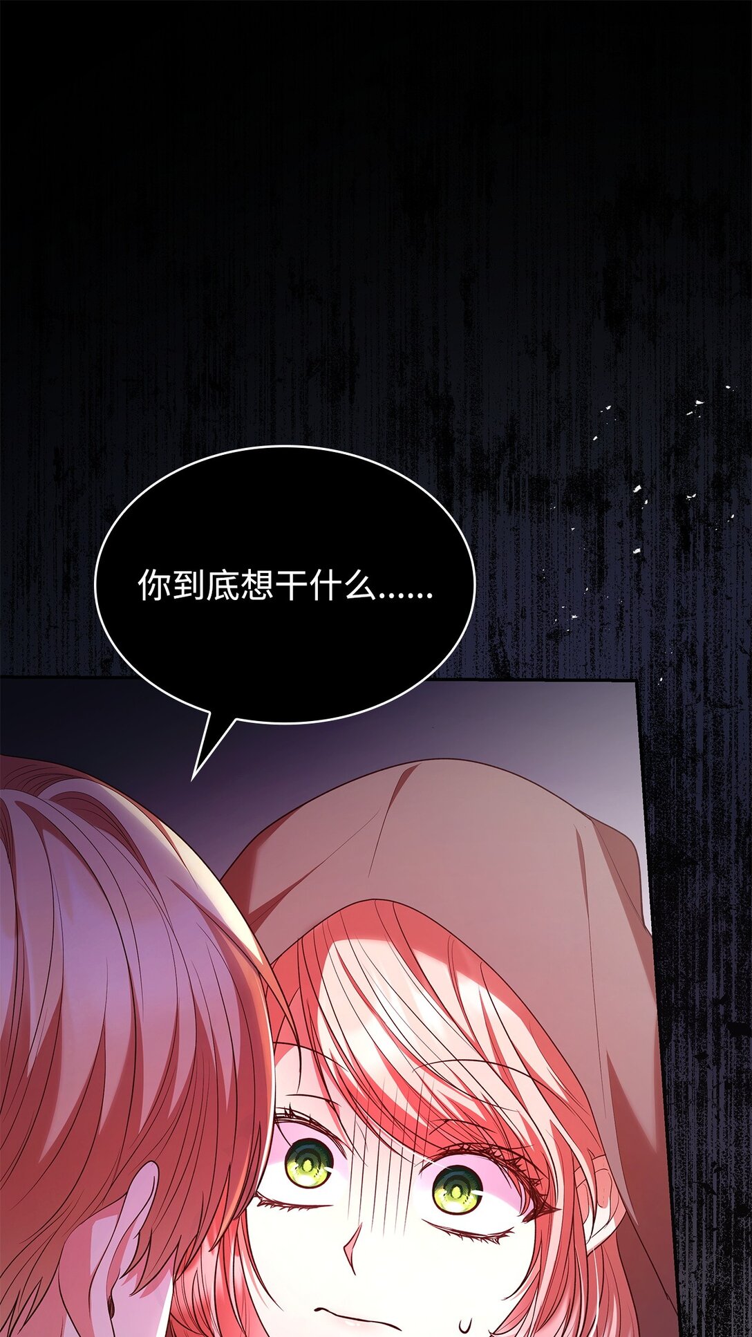 49 偏执(1/2)-第49话