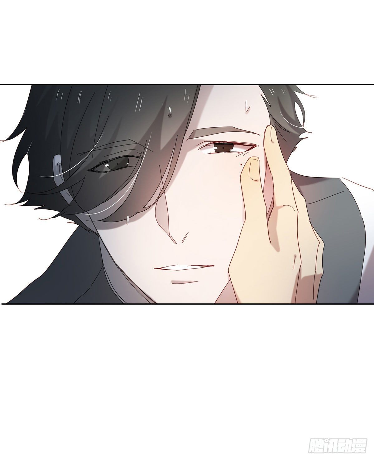 小狐狸(1/2)-第113话