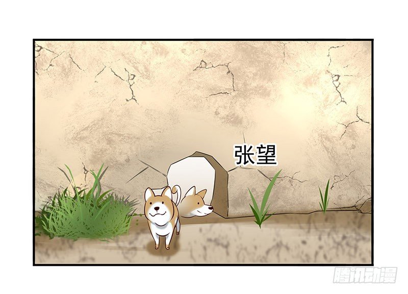 回来了-第21话