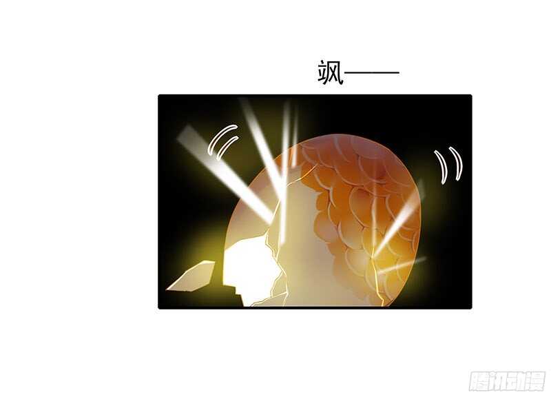 再见了蛋蛋(1/2)-第33话