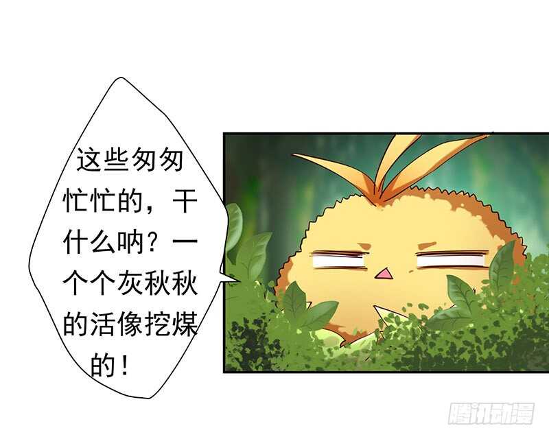 我的蛋蛋最棒了(1/2)-第55话