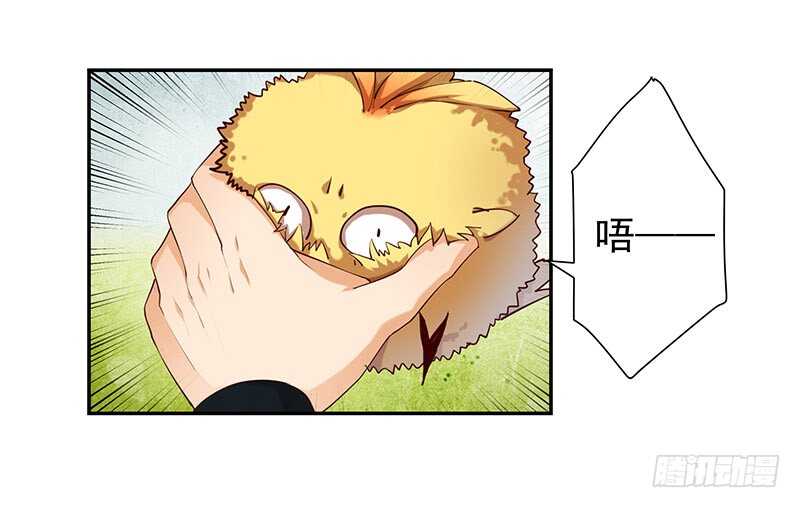 我的蛋蛋最棒了(1/2)-第55话