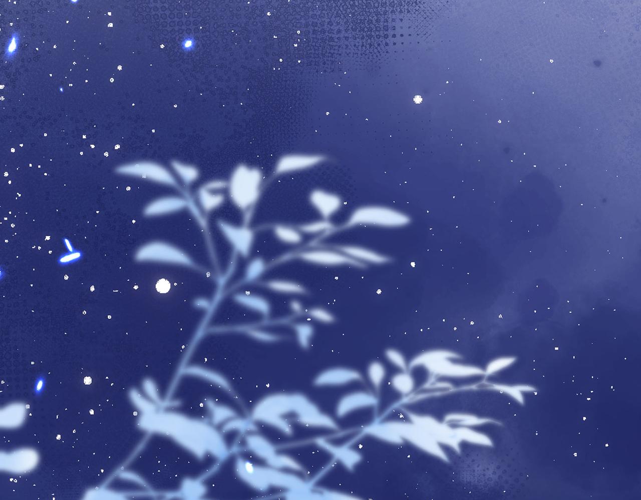 第40话 重要的人(1/2)-第41话