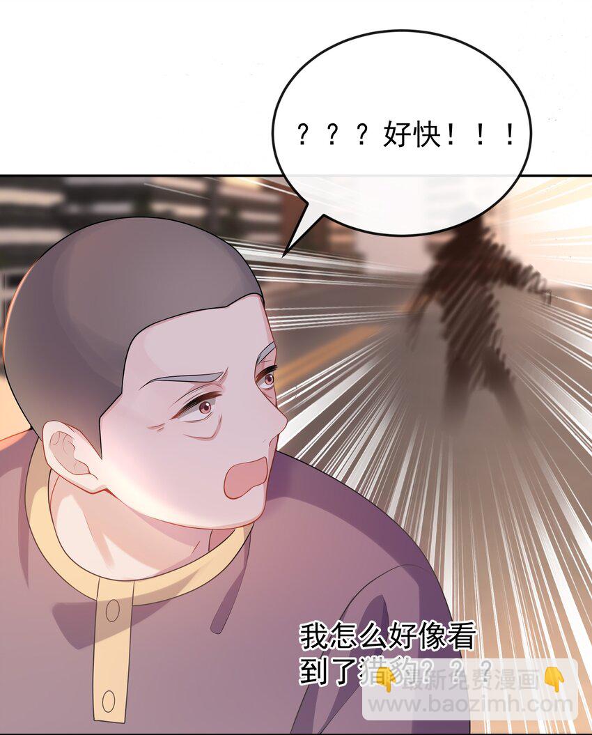 005 怎么好像看到了猎豹？！-第5话