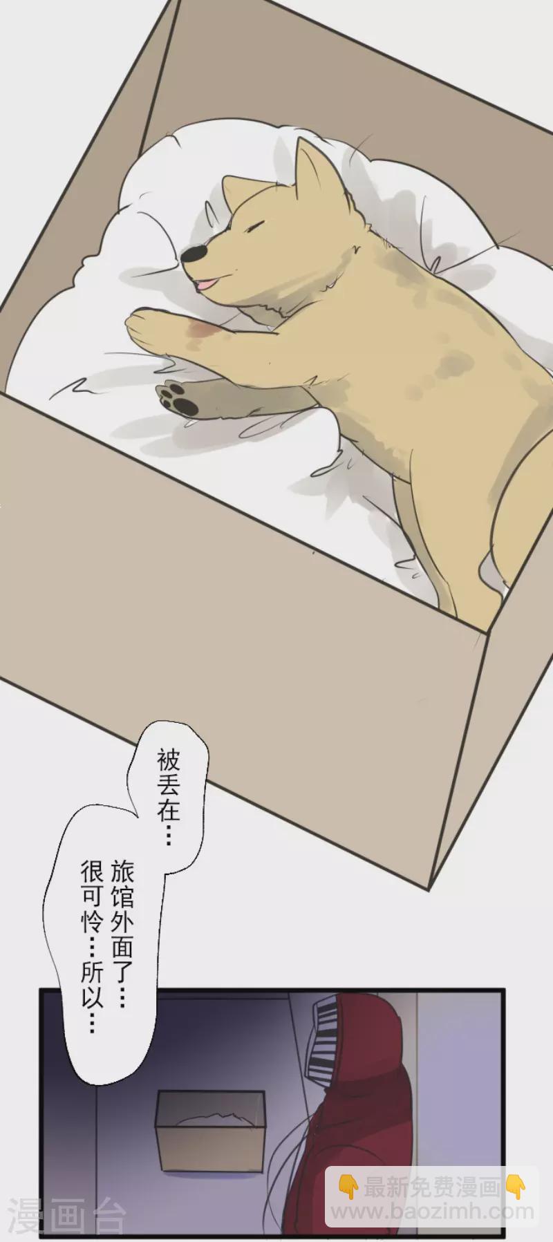 第134话 威利诺-第135话